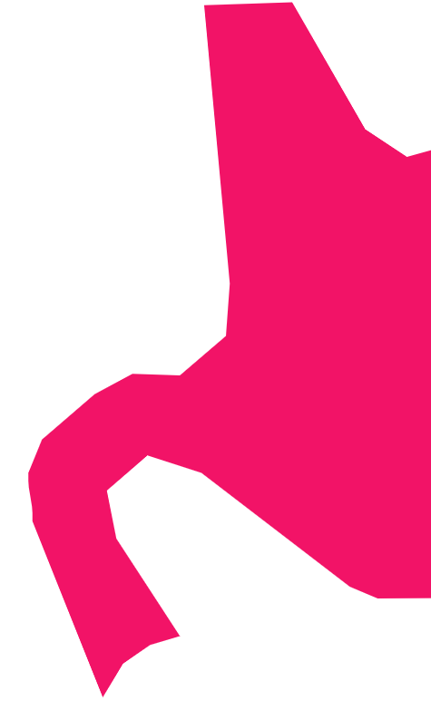 raak voor een verandering olifant olifant opdekop middelgroot half